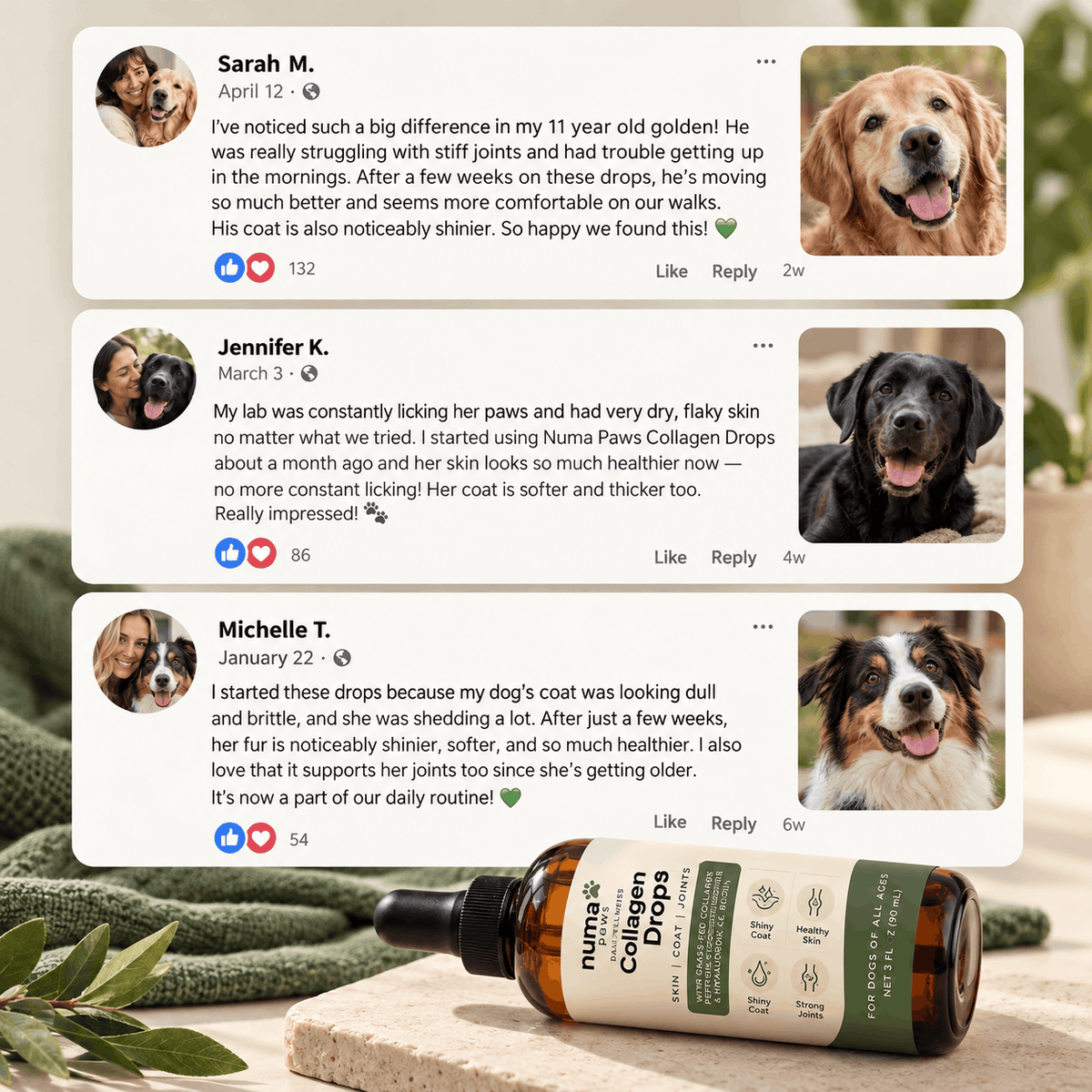 Numa Paws — Daily Collagen Drops
