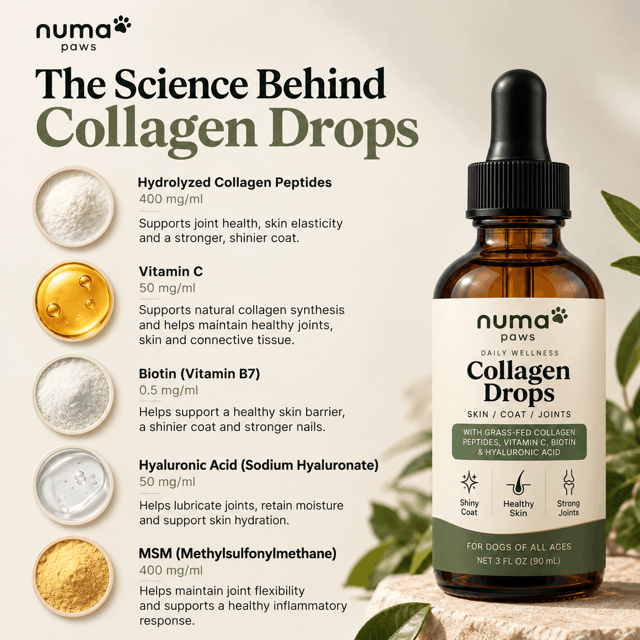 Numa Paws — Daily Collagen Drops